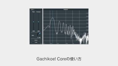 gachikoe
