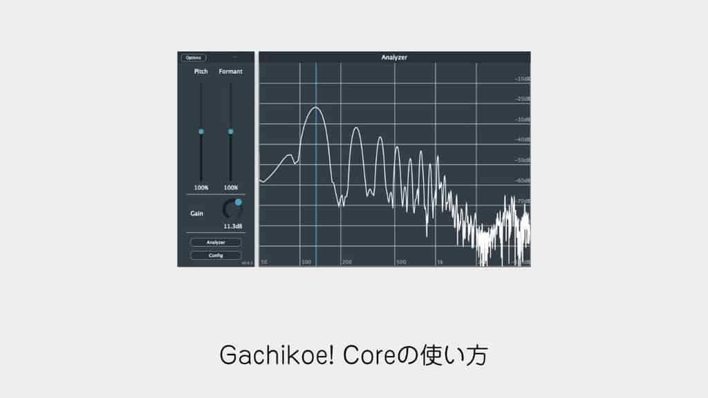 gachikoe